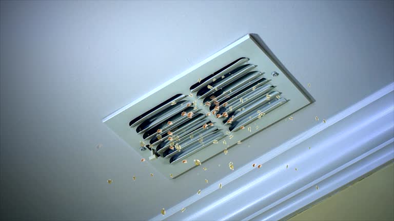 Best Commercial HVAC Duct Cleaning  in Valley Park, MO