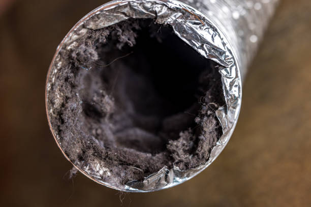 Best Air Duct Cleaning Near Me  in Valley Park, MO